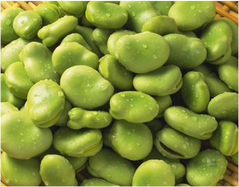 Frozen broad beans